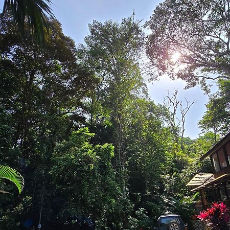 Cool Waters Jungle Villas Uvita Exterior photo