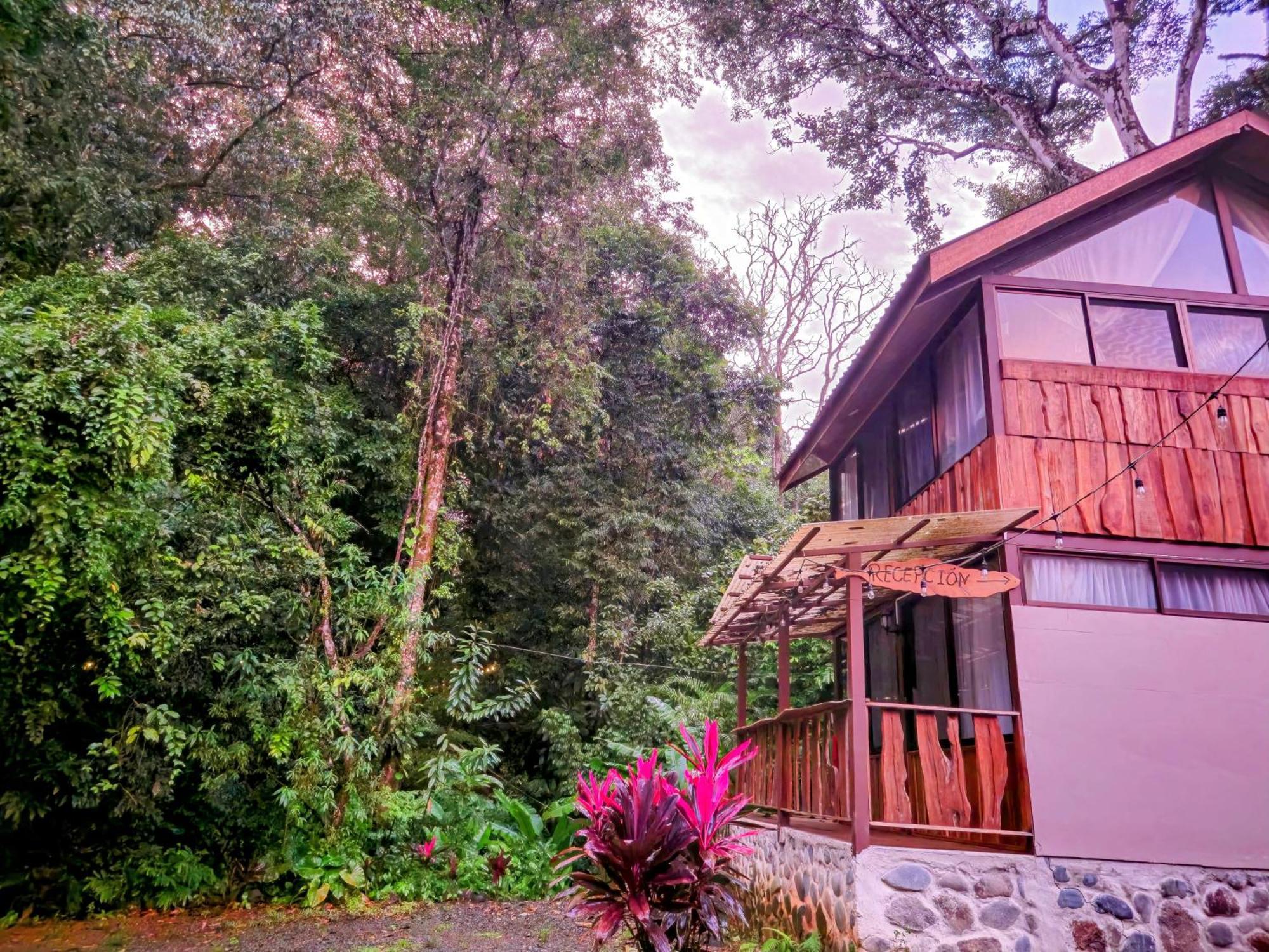 Cool Waters Jungle Villas Uvita Exterior photo
