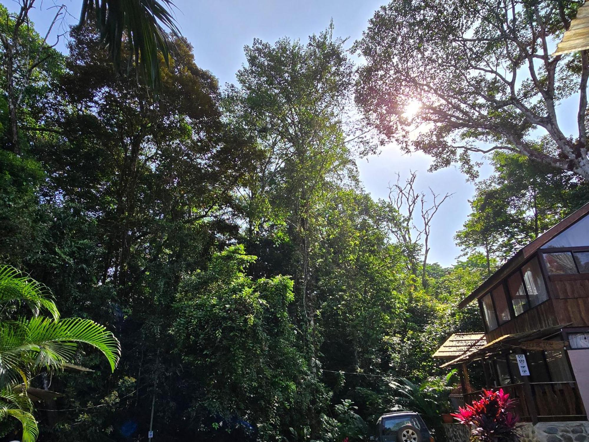 Cool Waters Jungle Villas Uvita Exterior photo